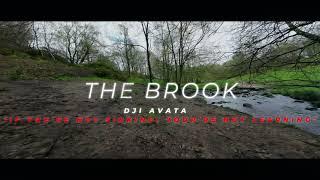 DJI AVATA - THE BROOK (with unscheduled landing....)