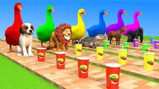 Duck Cartoon with 5 Dog, Horse, Gorilla, crocodile, Lion Animal Fight Animals Rescue New 2023