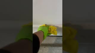 HOW TO QUICKLY REMOVE GREASE AND GRIME FROM YOUR GARAGE DOORS #cleanhouse #propertycleanup #mechanic