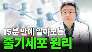 [연세사랑병원] 줄기세포 원리, 이 영상 하나로 정리합니다!