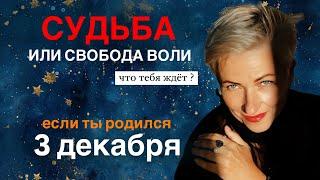 Матрица судьбы. о чем говорит дата рождения 3 декабря. цель и ресурсы для ее достижения.