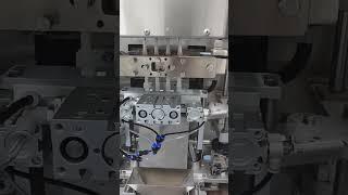 EGP Nicotine pouch production machine