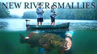 Fishing the New River for GIANT Smallmouth Bass | Smallmouth South vol. 1