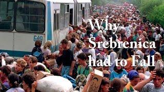 Why Srebrenica had to Fall (2015)