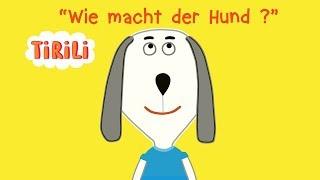 Wie macht der Hund? | TiRiLi-Kinderlieder | Tierstimmen