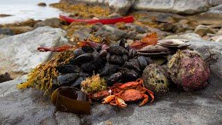 Coastal Foraging in Nova Scotia | Catch N' Cook Island Camping