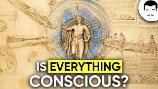 What is Consciousness? With Neil deGrasse Tyson & George Mashour