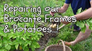 Repairing the Brocante Frames, and Potatoes.  Yes, we have potatoes...!  Ha!