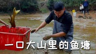 【戶外捕魚vlog】花3600包下一口大山裏的魚塘，沒想到裏面竟然這麽多魚！#三農#戶外