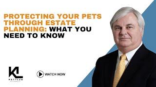 Protecting Your Pets Through Estate Planning: What You Need to Know