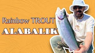 Trofe Alabalık Avı / Trout Fishing