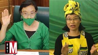 The Chinese Woman In South African Parliament Xiaomei Harvard