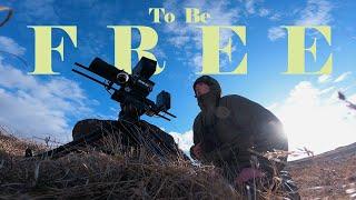 To Be Free [ Wildlife Film by Tom Stormont ]