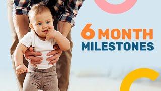 6 Month Developmental Milestones - What to Expect at 6 Months of Age