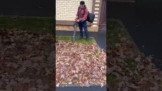 Воздуходувка-пылесос #свойдом #воздуходувка