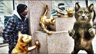 3 Interesting facts: Why Tyumen cats story amazed me | How the Soviet hid his body in Tyumen