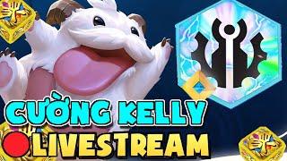 CƯỜNG KELLY LIVE 28/8 : GÁC CỔNG CAO THỦ....