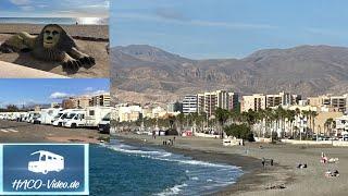 Spain 2025 - Almeria - port city with large parking lot for motorhomes