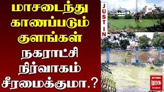 மாசடைந்து காணப்படும் குளங்கள்நகராட்சி நிர்வாகம் சீரமைக்குமா.? | Malai Murasu | Ranipet | Sholinghur