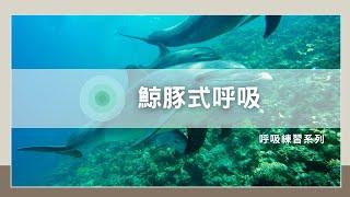 【呼吸示範與練習】鯨豚式呼吸(6)｜身心靈轉化中心吳長泰老師示範