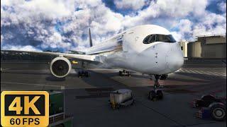 Singapore to Brisbane | Inibuilds A350 | MSFS 2024 Singapore Airlines A350 4K|