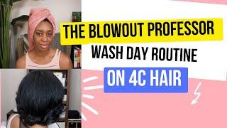 The Blowout professor wash day routine on 4c hair 2024 (short version)