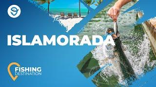 Islamorada Fishing: All You Need to Know | FishingBooker