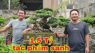 1.5 Tỷ tác phẩm sanh và toàn những cây đẳng cấp của Vườn anh phi Bắc Ninh.ngắm đã hết mắt.