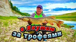 [4k] Якутия Вот это рыбалка Река Амга дарит трофеи Как поймать щуку / Yakutia big fish