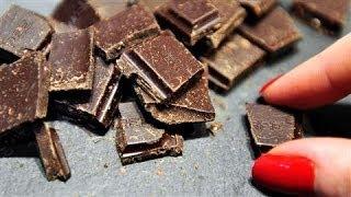 Will a Chocolate Diet Help You Lose Weight?