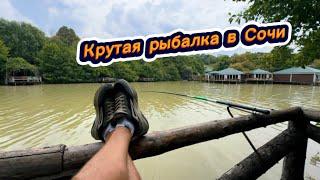 КОШМАР !!! Загорают уже стоя.Пляжи Сочи. Пляжи в Сириусе. Пляжи в Дагомысе