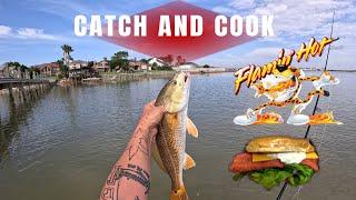 SIGHT CASTING REDFISH!!! (CATCH AND COOK)