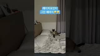 레이저포인터 자제해야지 #shorts