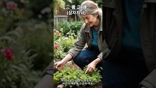 三者之德(삼자지덕) / 공자명언