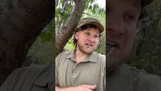 Когда ГОРОДСКОЙ приехал в СЕЛО  (смешное видео, юмор, приколы, поржать)