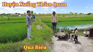 Chủ Tịch Huyện Cử Nhân Viên Xuống Thăm Quan Và Khảo Sát Cánh Đồng Lúa Trong Việt Phi Farm