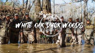 Duck Hunting - White Oaks Duck Woods( A Mallard Duck Paradise)