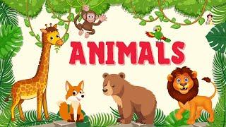 Animals Vocabulary in English | English For Kids