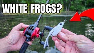 Early Summer Frog Fishing (Shallow Bass Fishing)