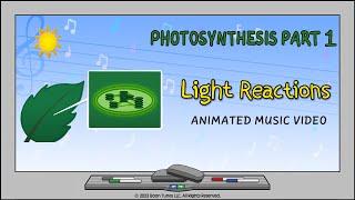 Photosynthesis Part 1: The Light Reactions  | Animated Music Video |