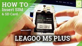 How to Set UP SIM and SD Card in LEAGOO M5 Plus