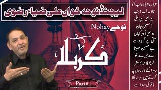 Nohay Ali Zia Rizvi | Legends Noha Khuwan علی ضیاء | Collection | Part # 1 | Anna Darwesh