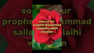 sons of our prophet Muhammad sallallahu alaihi wasallam ️ #world #islamic #subscribe #shorts