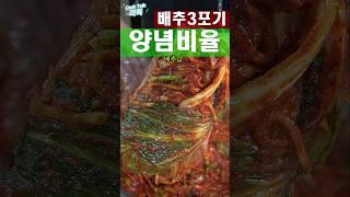 배추3포기 김장김치 양념비율 (배추1망)  #배추김치 #김장김치 #Cabbage Kimchi