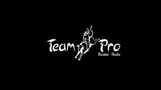 Team pro futurity  etapa final santa cruz de monte castelo pr