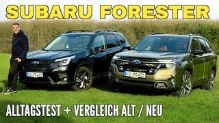 SUBARU FORESTER: Der NEUE im Test + VERGLEICH mit dem Vorgänger! 2025 vs. 2024 | Preis