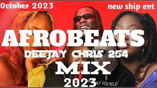 AFROBEAT MIX 2024 VOL1 DJ CHRIS 254 ft RUGER, REMA, BURNA BOY, BLAQBONEZ, KIZZ DANIEL, AYRA STARR