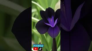8  EXTINCT FLOWERS #ai  #aiimages #flowers  #extinction