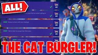 Case #31 The Cat Burgler | Fortnite Wintervestigation