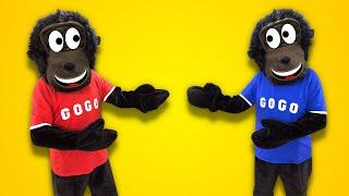 Up and Down and All Around | Gogo Gorilla Kids Songs